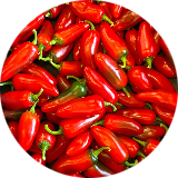 Spicy Chilli 🌶