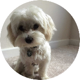 Pie & Mash & Broccoli