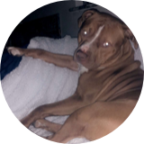 Jonnyob