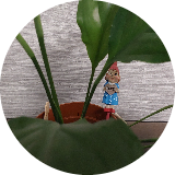 Peace Gnome