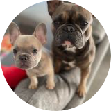 MicheleRidgwell-Hedges