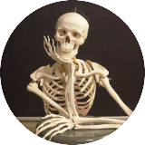 Mr Bones