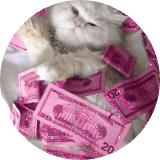 Surethingdude