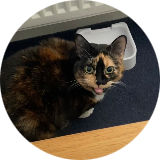 Lizzzie