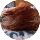 Tartanprawn72