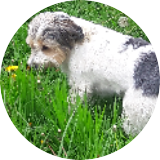Bev W