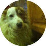 Sparky