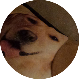 Kazcakewithchocolate