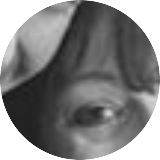 KingPrawnAddict