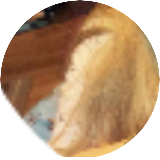 Melma