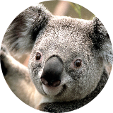 Keiran