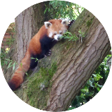 Stmapp